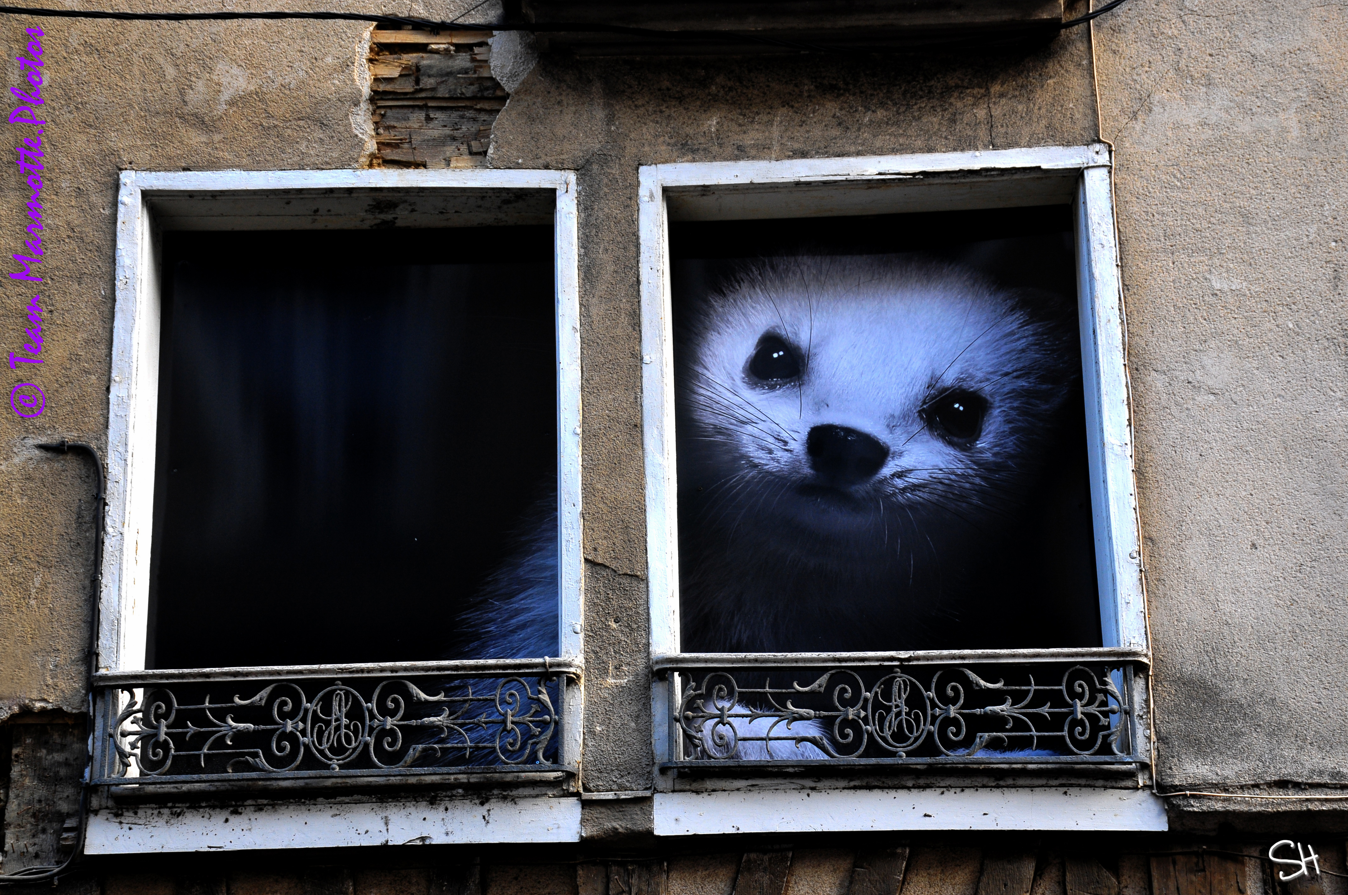 Se comporter comme un modèle professionnel