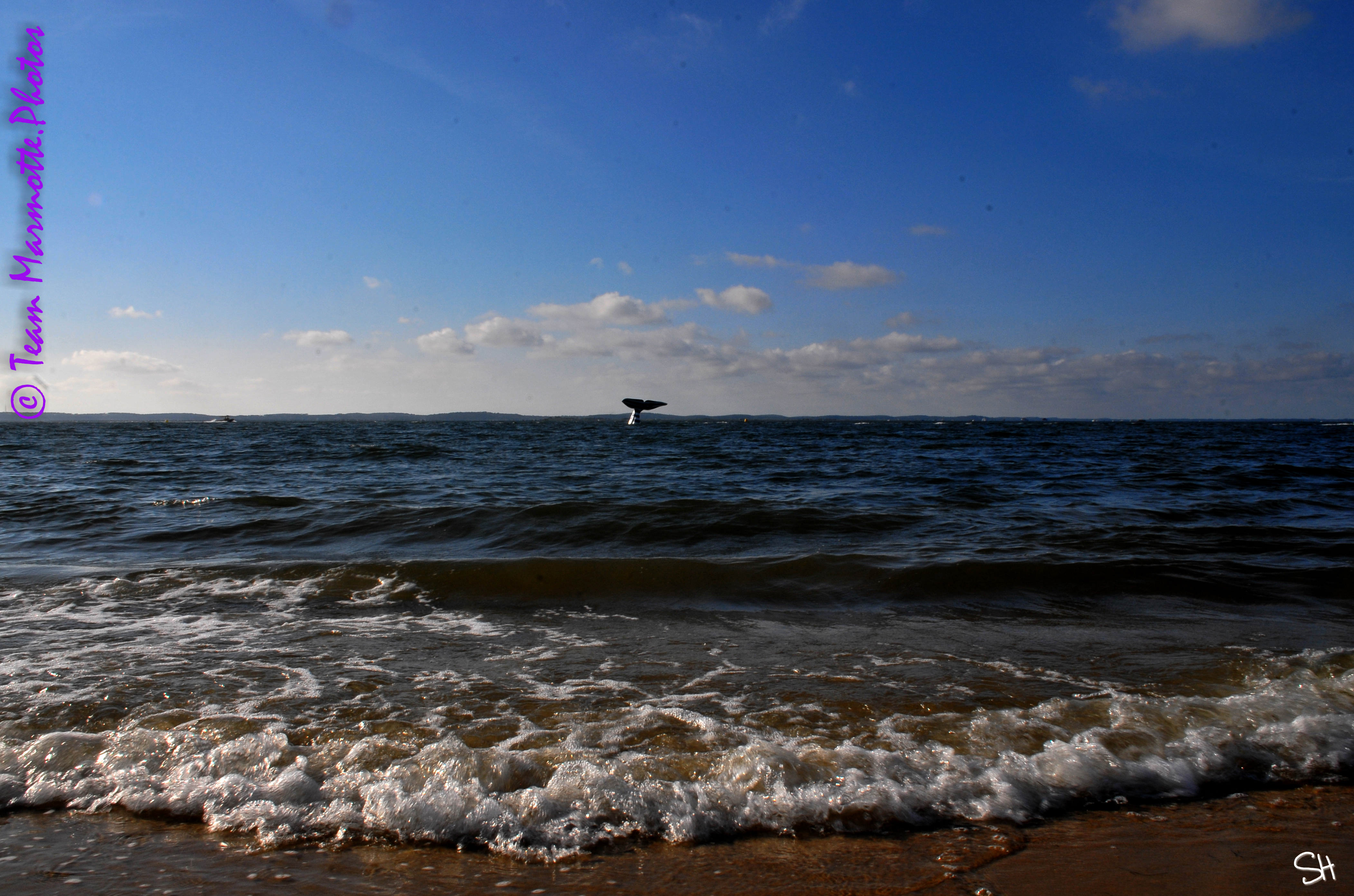 C’est la rentrée&nbsp;!