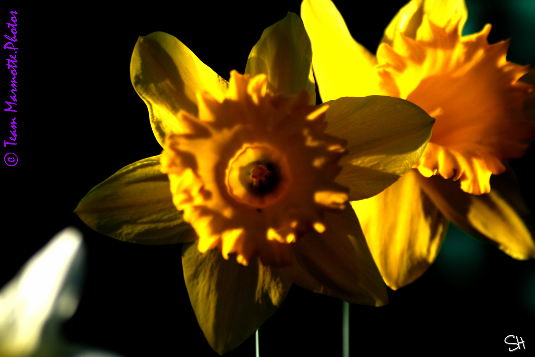 Où sont les femmes photographes