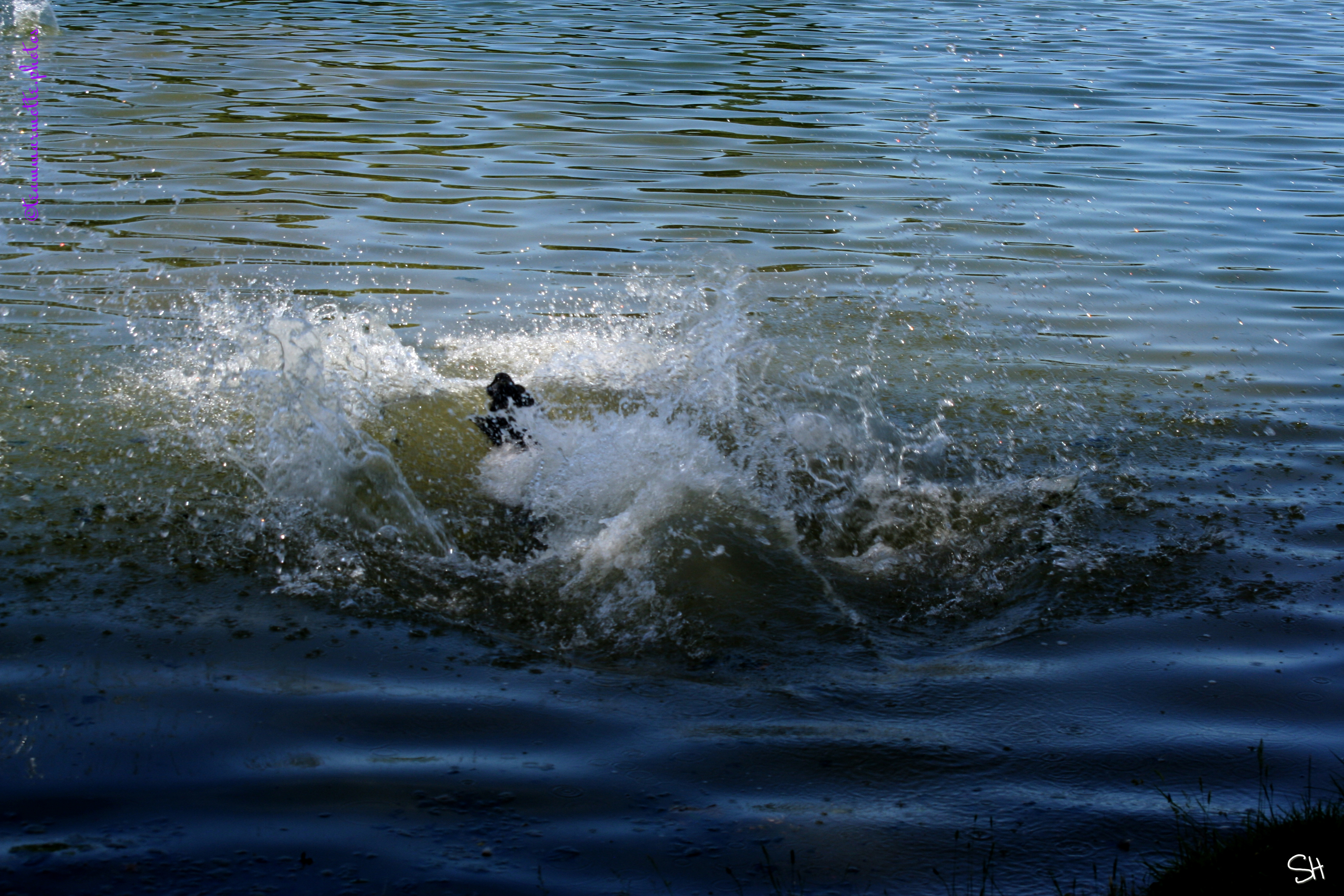 J’peux pas, j’ai piscine !