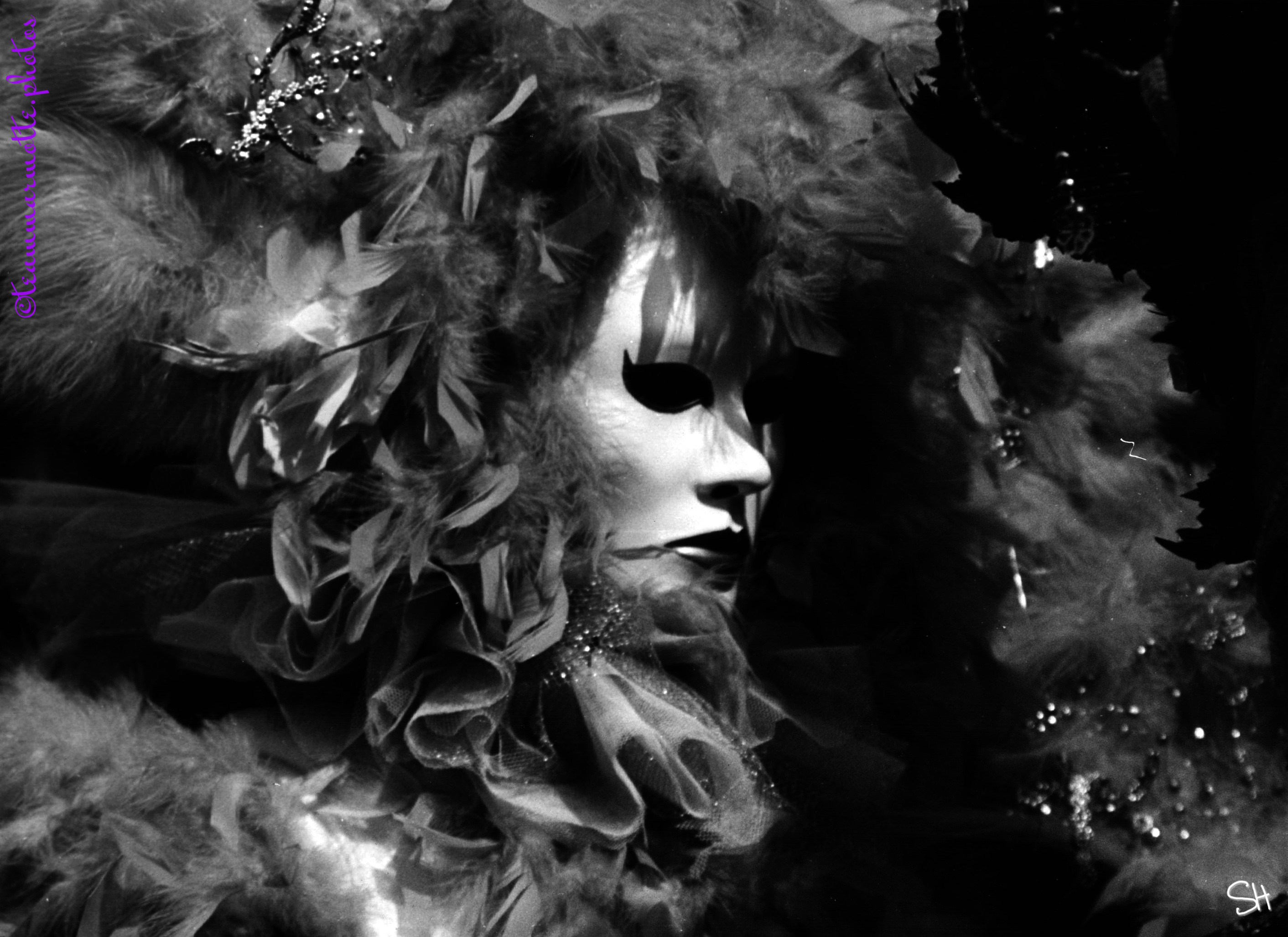 Amateur vs professionnel