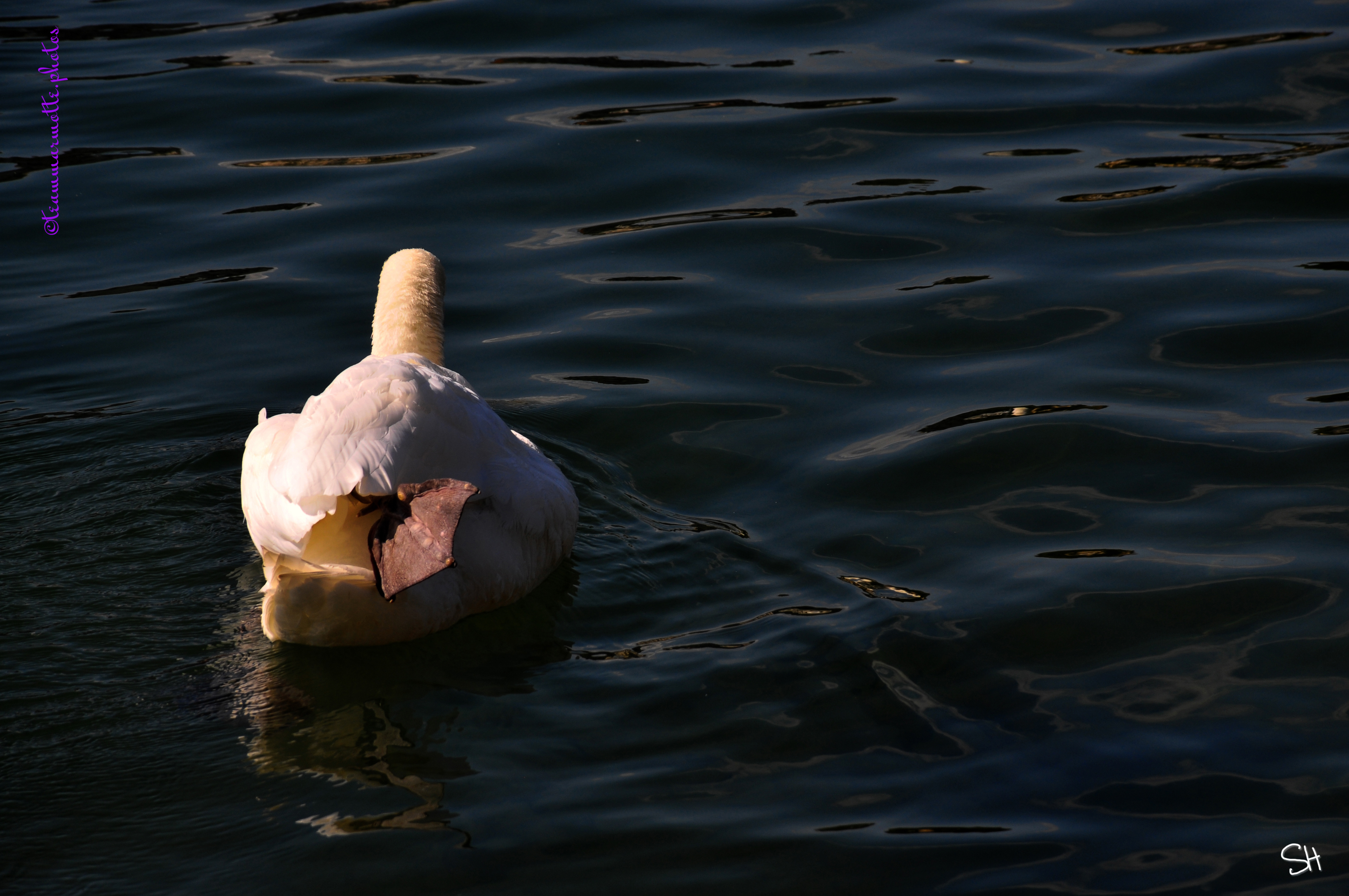 Retouches or not retouches